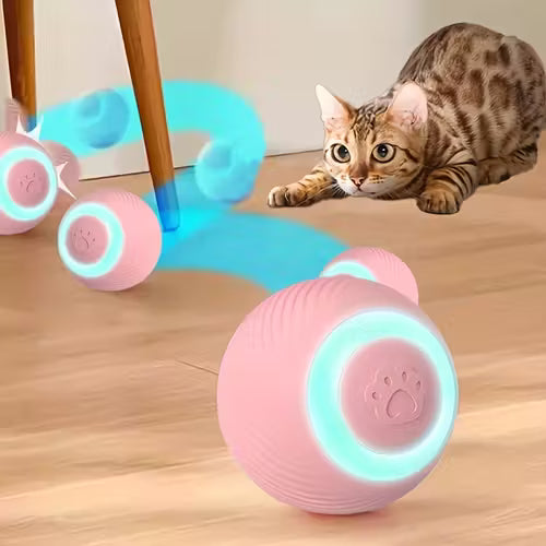 Automatic Interactive Cat Ball